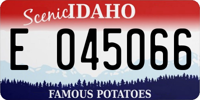 ID license plate E045066