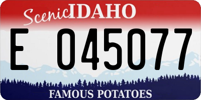 ID license plate E045077