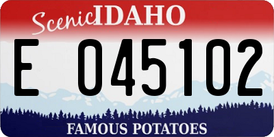 ID license plate E045102