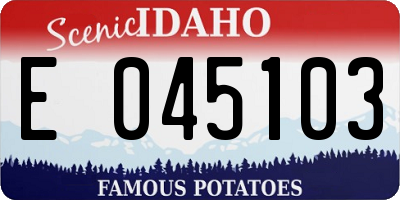 ID license plate E045103