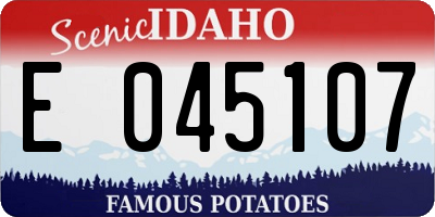 ID license plate E045107