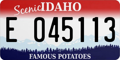 ID license plate E045113