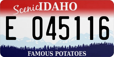 ID license plate E045116