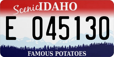 ID license plate E045130