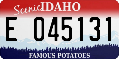 ID license plate E045131
