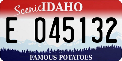 ID license plate E045132