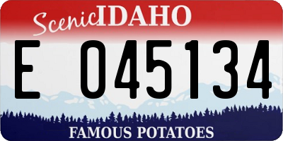 ID license plate E045134