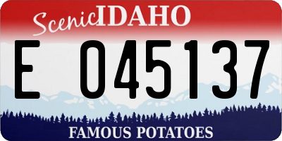 ID license plate E045137