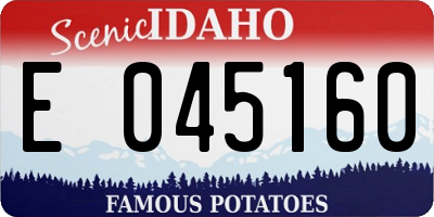 ID license plate E045160