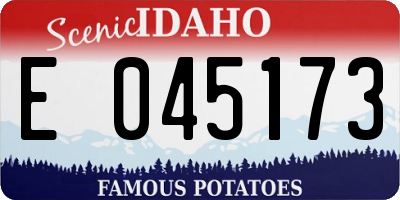 ID license plate E045173