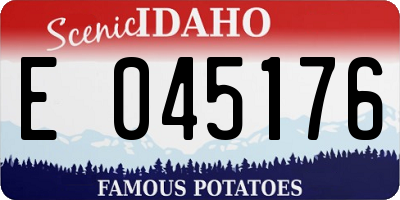 ID license plate E045176