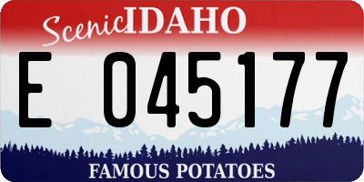 ID license plate E045177