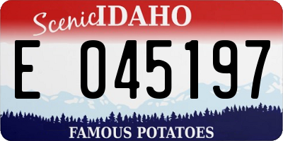 ID license plate E045197