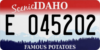 ID license plate E045202