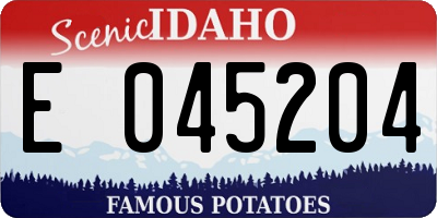ID license plate E045204