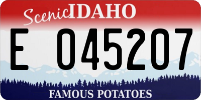 ID license plate E045207