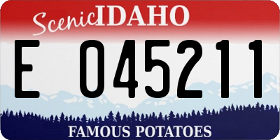 ID license plate E045211