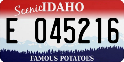 ID license plate E045216