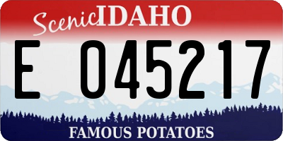 ID license plate E045217