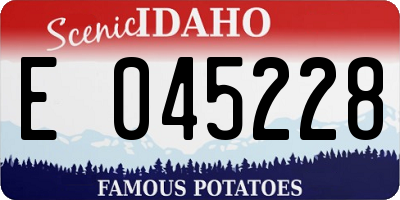 ID license plate E045228