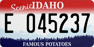 ID license plate E045237