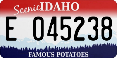 ID license plate E045238