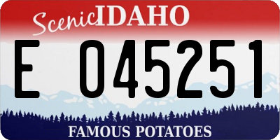 ID license plate E045251