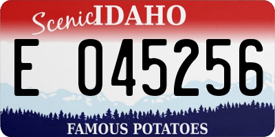 ID license plate E045256