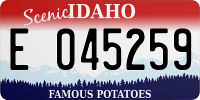 ID license plate E045259