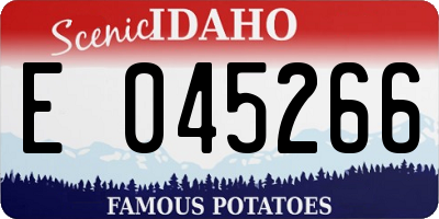 ID license plate E045266