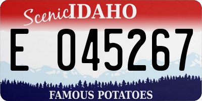ID license plate E045267