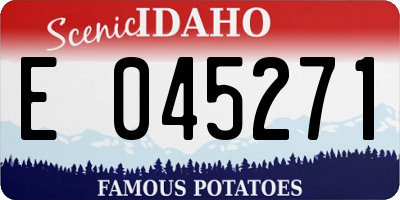 ID license plate E045271