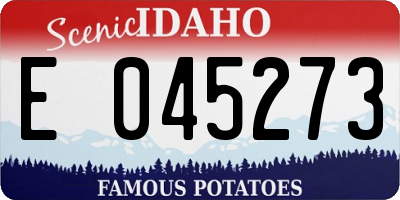 ID license plate E045273