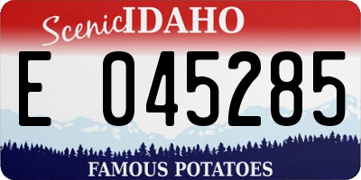 ID license plate E045285