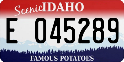 ID license plate E045289