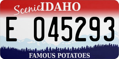 ID license plate E045293