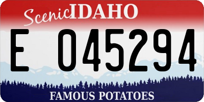 ID license plate E045294