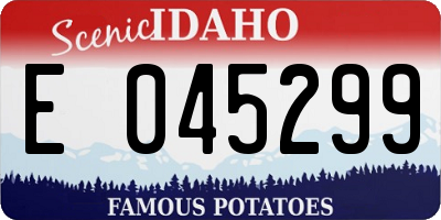 ID license plate E045299