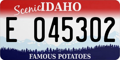 ID license plate E045302