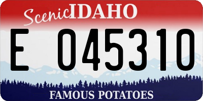 ID license plate E045310