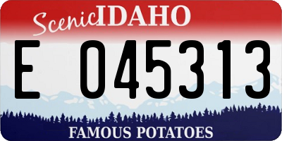 ID license plate E045313