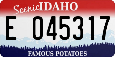 ID license plate E045317