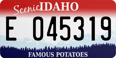 ID license plate E045319