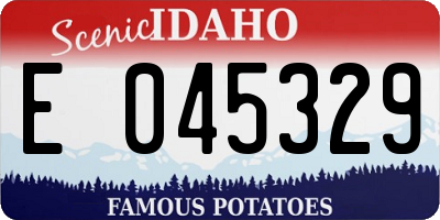 ID license plate E045329