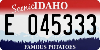 ID license plate E045333