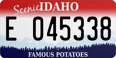 ID license plate E045338