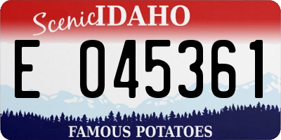 ID license plate E045361