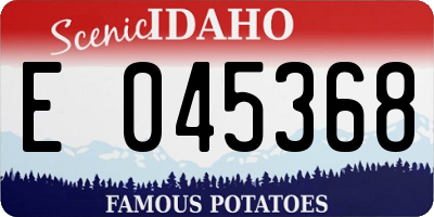 ID license plate E045368
