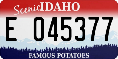 ID license plate E045377