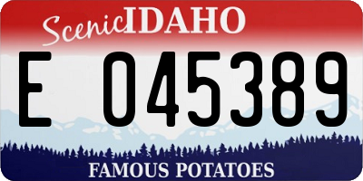 ID license plate E045389
